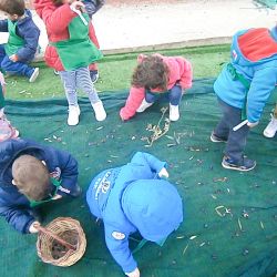 OLYMPUS DIGITAL CAMERA Ηλιότοπος